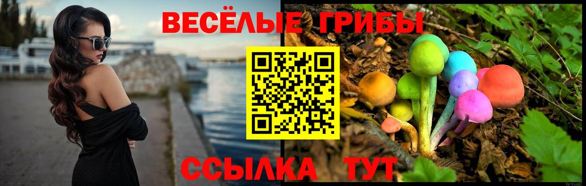 купить   Галлюциногенные грибы GOLDEN TEACHER  Вход с VPN  Похвистнево  Галлюциногенные грибы прущие грибы 